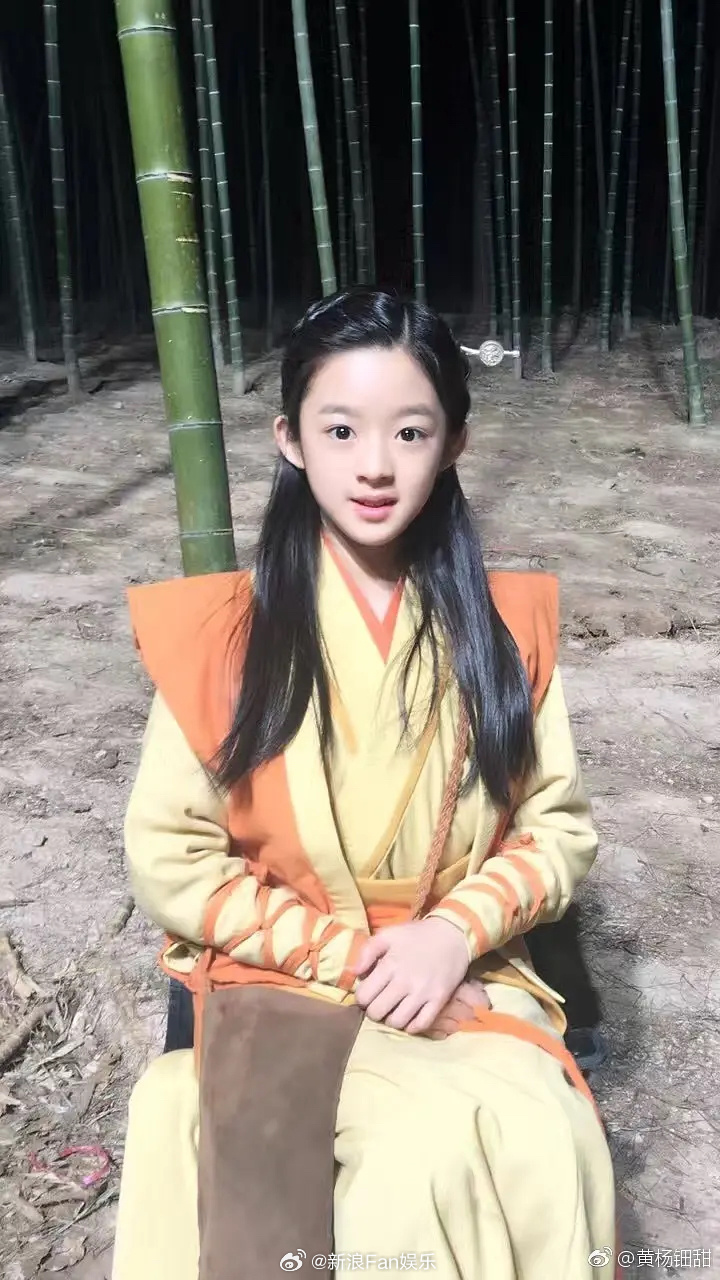 黄杨钿甜父亲经商细节仍需追问