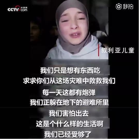 叙利亚女孩采访，战火中的希望与坚韧