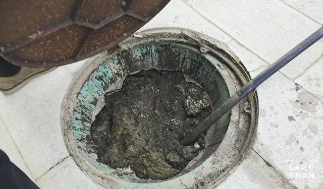 新房遭遇粪水泡，遭遇困境如何科学应对？