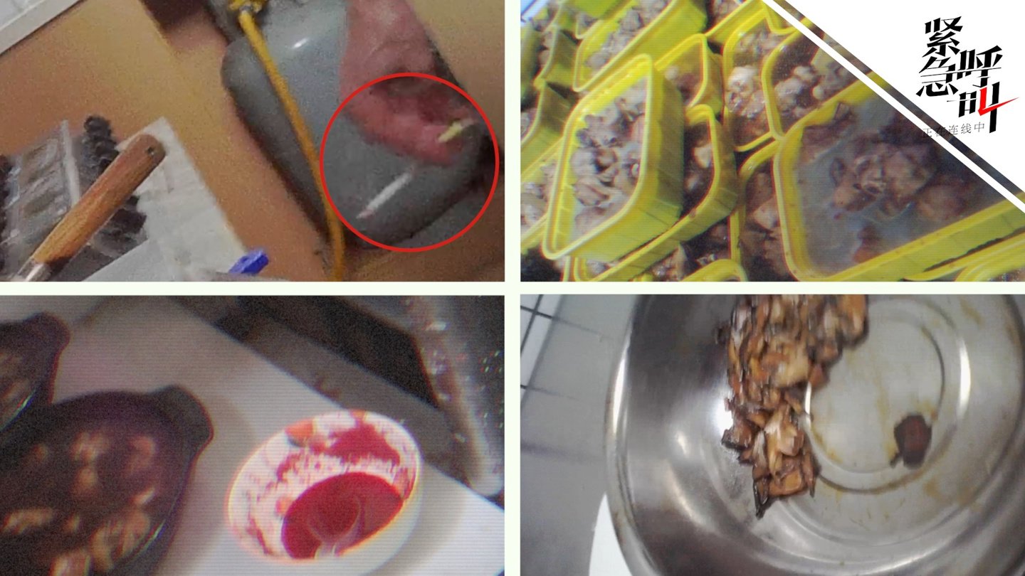 黄焖鸡卧底记者提醒，晚上11点前别点外卖，健康饮食需警醒