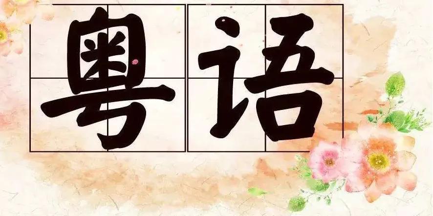白话丢那星是什么意思