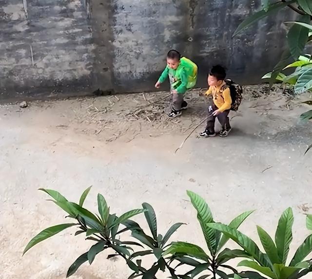 母子路边偶遇四只未牵绳大狗，冷静应对的智慧