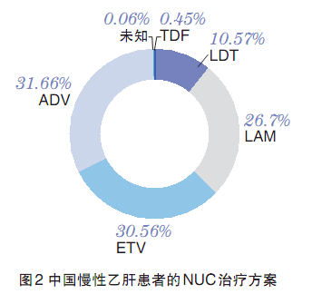 中国慢乙肝临床治愈率突破，33.8%的希望之光