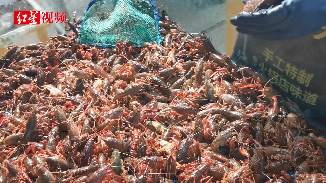 成都小龙虾现在市场大概多少钱一斤？