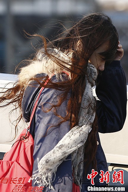 北京大风吹倒女孩事件深度解析