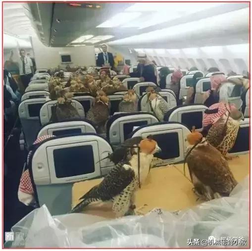 方程豹豹钛3震撼上市，售价亲民，开启智能生活新篇章