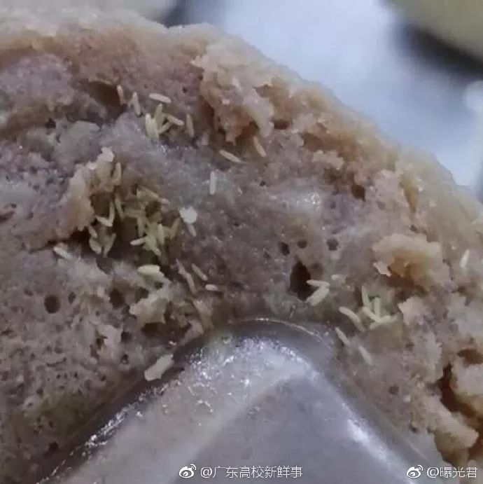 学校食堂绞肉机惊现活蛆，校长被停职事件深度解析