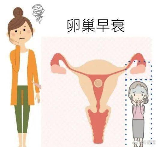 2025年5月 第20页
