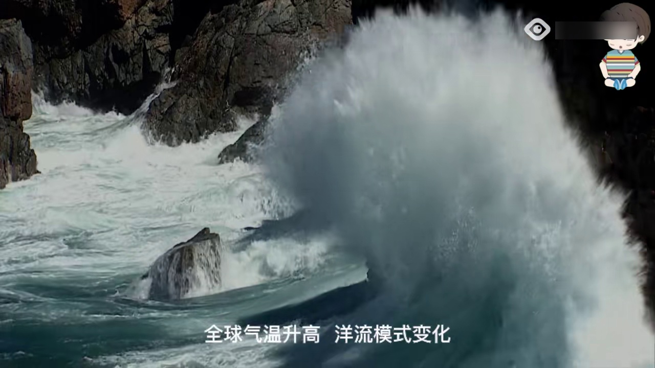 2025年6月 第343页
