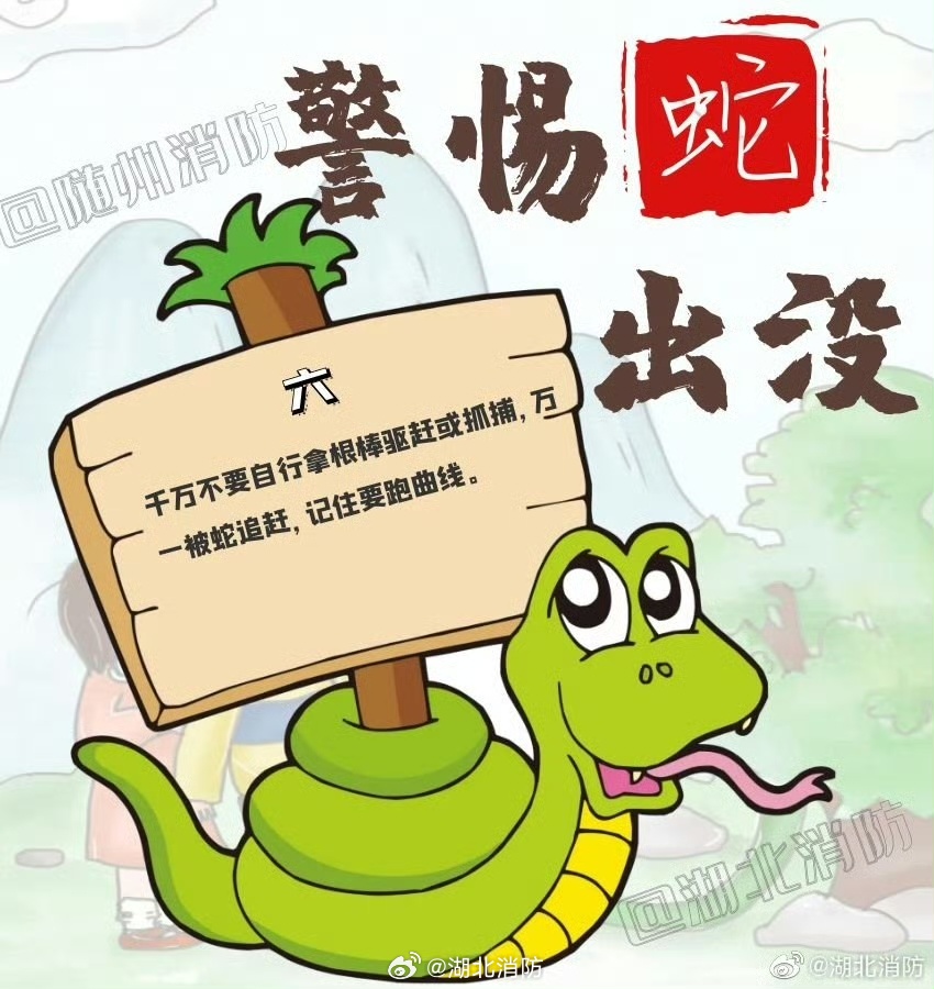 2025年6月 第7页