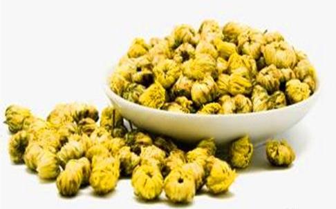 珍珠菊与胎菊，各自独特的功效与价值